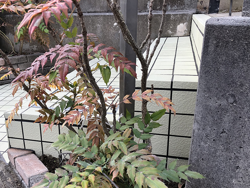 玄関土間タイル張替工事